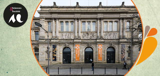 Photo de la façade du Musée d'Aquitaine (Bordeaux) - crédit photo Lysiane Gauthier (mairie de Bordeaux)