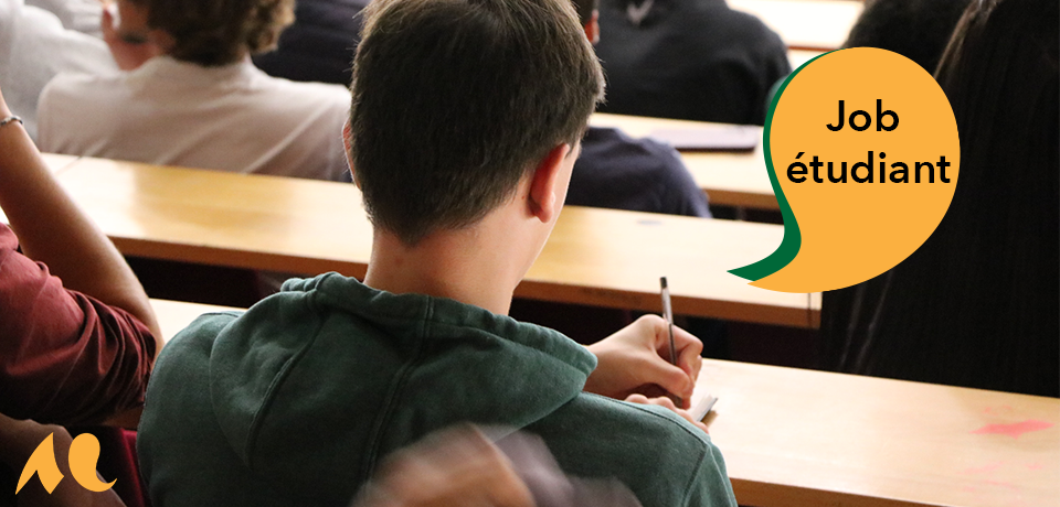 &eacute;tudiant vu de dos dans un amphith&eacute;&acirc;tre