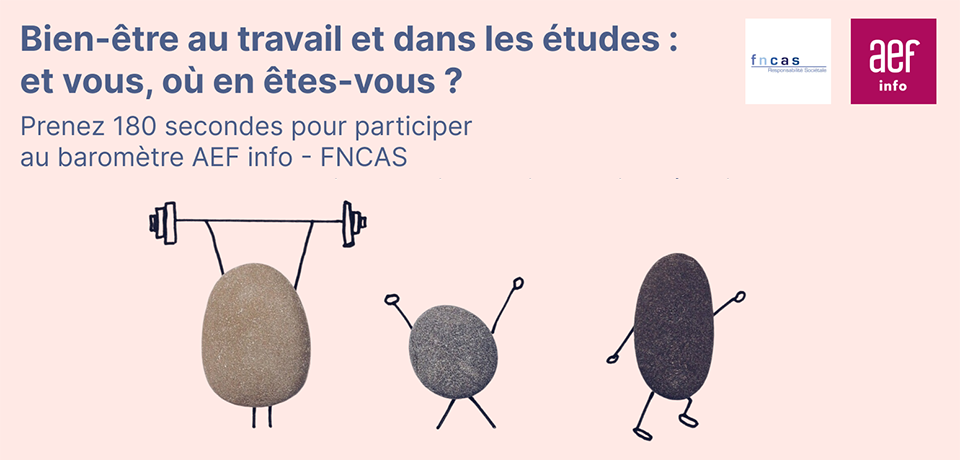 Sont repr&eacute;sent&eacute;s plusieurs cailloux auxquels on a rajout&eacute; des bras et des jambes