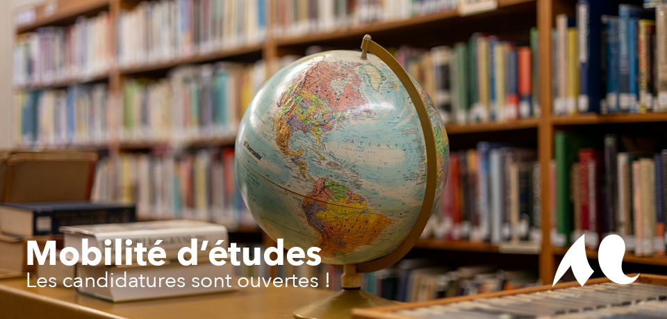 un globe terrestre posé sur une table dans une bibliothèque