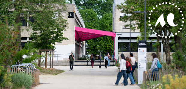 des étudiants sur le campus Montaigne