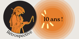 Logo du carnet actualités des études anciennes : Athèna à la tablette